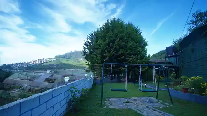 greencasa video poster