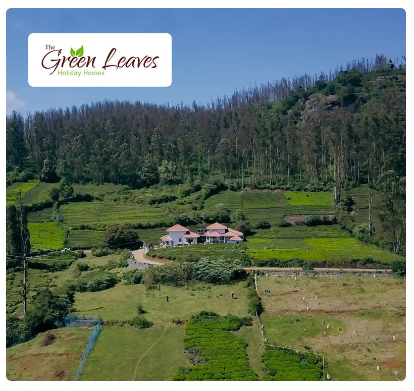 greenleaves home baner